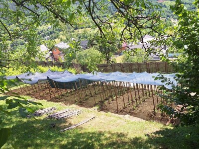 Fazlin "bijeg" iznad Sarajeva