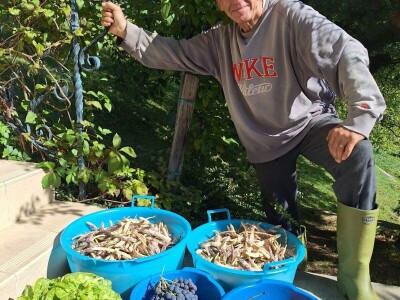 Fazlin "bijeg" iznad Sarajeva