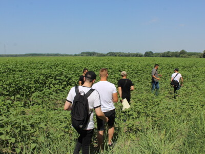 Fazos, dron, novi studij