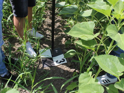 Fazos, dron, novi studij