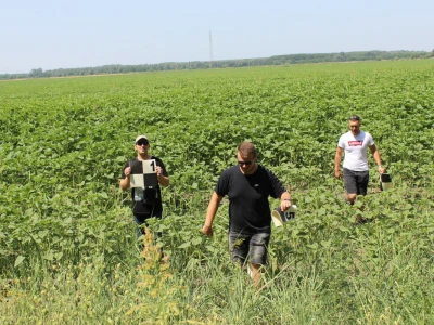 Fazos, dron, novi studij