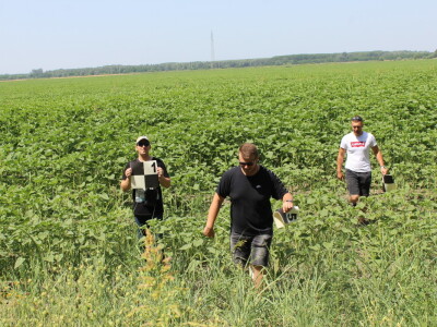 Fazos, dron, novi studij