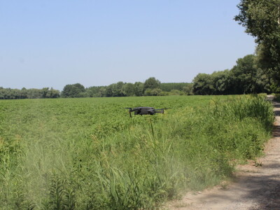 Fazos, dron, novi studij