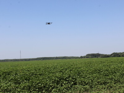 Fazos, dron, novi studij