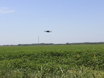 Fazos, dron, novi studij