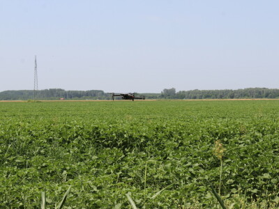 Fazos, dron, novi studij