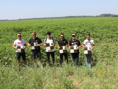 Fazos, dron, novi studij