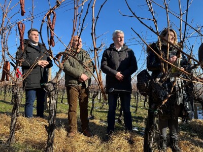 Fazos, obilježavanje svetog Vinka