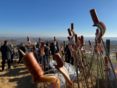 Fazos, obilježavanje svetog Vinka