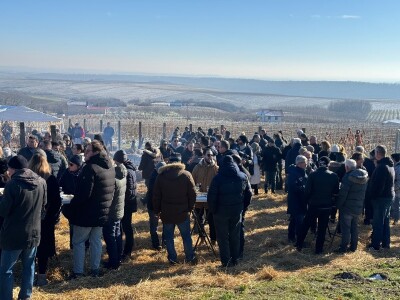 Fazos, obilježavanje svetog Vinka