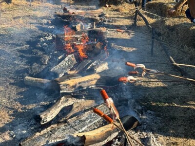 Fazos, obilježavanje svetog Vinka