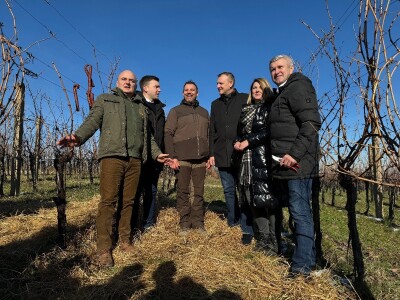 Fazos, obilježavanje svetog Vinka