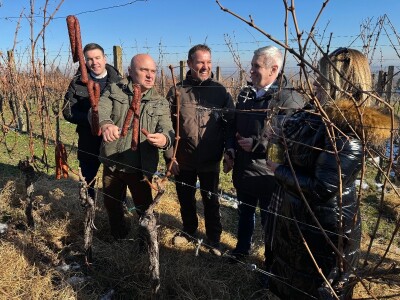 Fazos, obilježavanje svetog Vinka