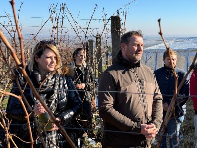 Fazos, obilježavanje svetog Vinka