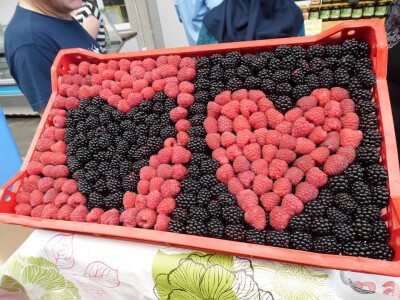 Dani maline i meda Žepče