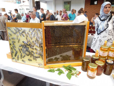 Dani maline i meda Žepče