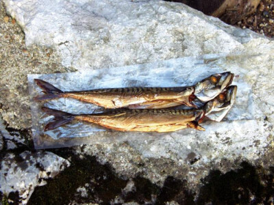 Dimljena riba Dimljena riba