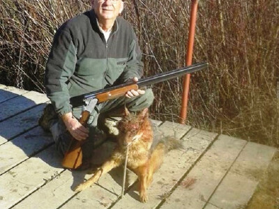 Ferid-Catak-ustrijelio -sakala