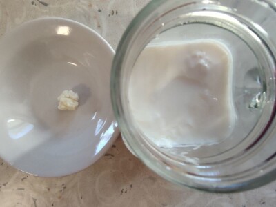 Fermentacija oko nas