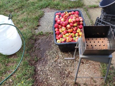 Fermentacija oko nas