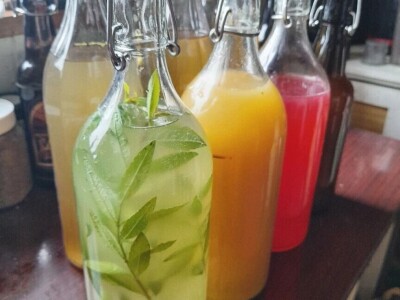 Fermentiranim napitcima do boljeg imuniteta