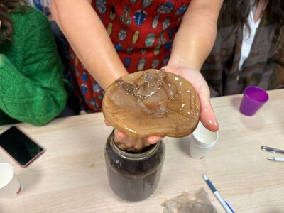 Fermentiranim napitcima do boljeg imuniteta