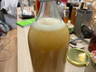 Fermentiranim napitcima do boljeg imuniteta