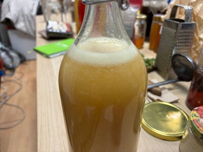 Fermentiranim napitcima do boljeg imuniteta