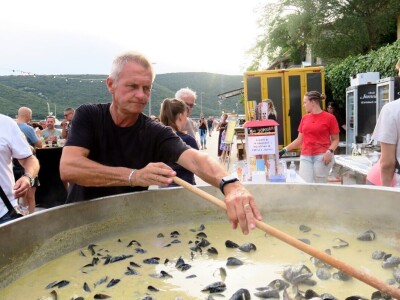 Fešta od pedoći i 56. Smotra narodne glazbe i plesa Labinštine - Trget