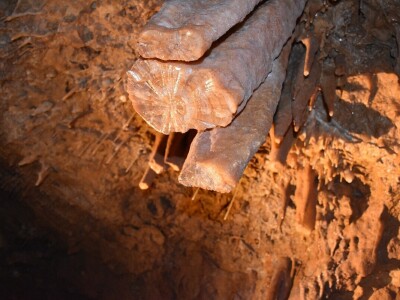 Feštinsko kraljevstvo