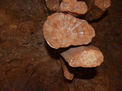 Feštinsko kraljevstvo