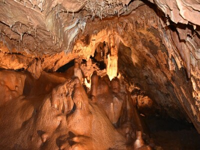 Feštinsko kraljevstvo