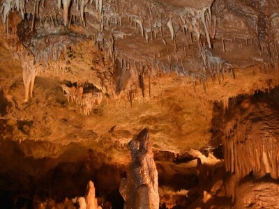 Feštinsko kraljevstvo