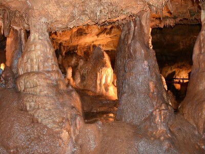 Feštinsko kraljevstvo