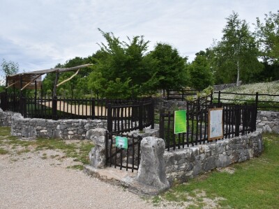 Feštinsko kraljevstvo