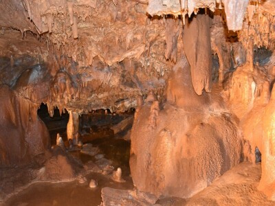 Feštinsko kraljevstvo