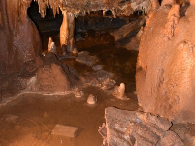 Feštinsko kraljevstvo