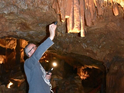 Feštinsko kraljevstvo