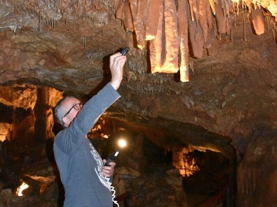 Feštinsko kraljevstvo