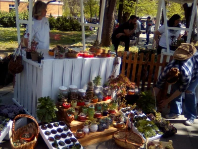 Festival cvijeća
