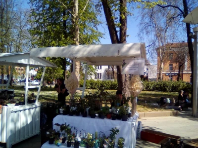 Festival cvijeća