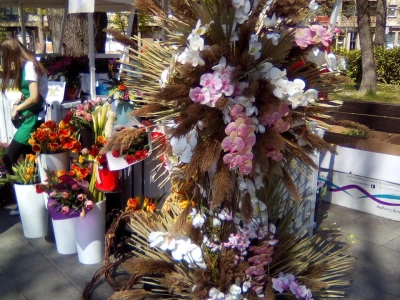 Festival cvijeća