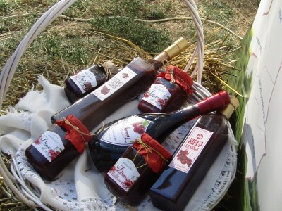 Festival gastronomije "Ukusi Vojvodine" Novi Sad