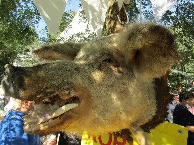 Festival gastronomije "Ukusi Vojvodine" Novi Sad