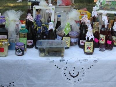 Festival gastronomije "Ukusi Vojvodine" Novi Sad