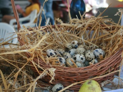 Festival gastronomije "Ukusi Vojvodine" Novi Sad