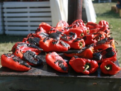 Festival gastronomije "Ukusi Vojvodine" Novi Sad