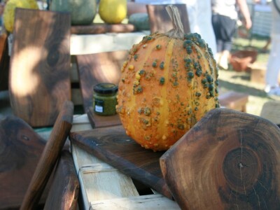 Festival gastronomije "Ukusi Vojvodine" Novi Sad