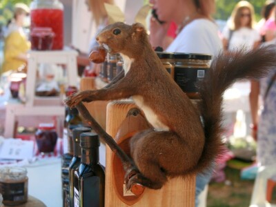 Festival gastronomije "Ukusi Vojvodine" Novi Sad