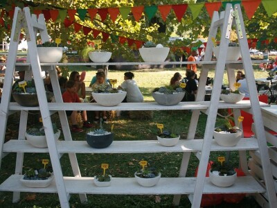 Festival gastronomije "Ukusi Vojvodine" Novi Sad